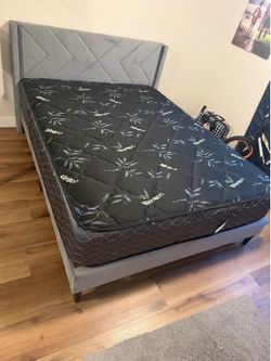 Queen Size Bed Frame with Bamboo Mattress (Almost New)