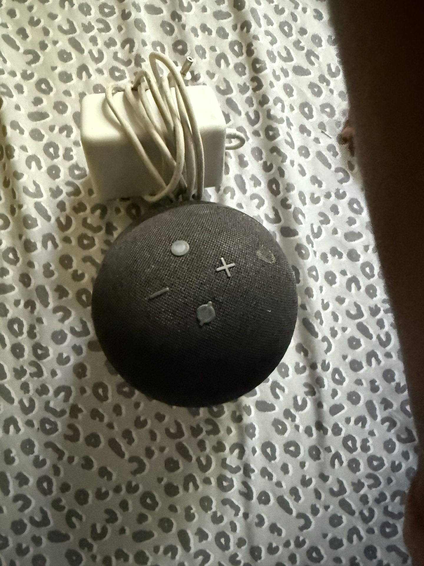 Alexa 4th Gen