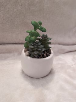 Faux Succulent Arrangement in White Ceramic Pot