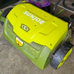 Electric Lawn dethatcher - help your dead grass grow healthy