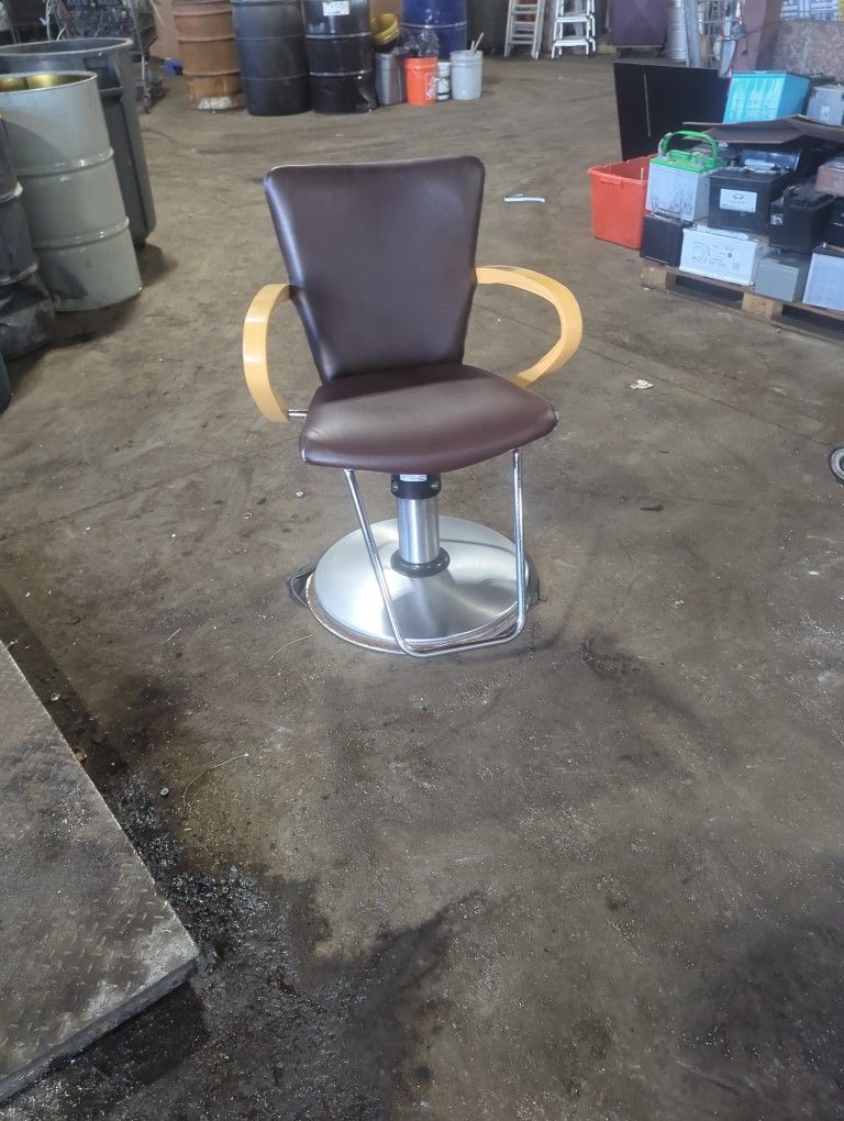 Hair Salon Chairs
