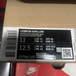 LeBron Shoes 11 Men