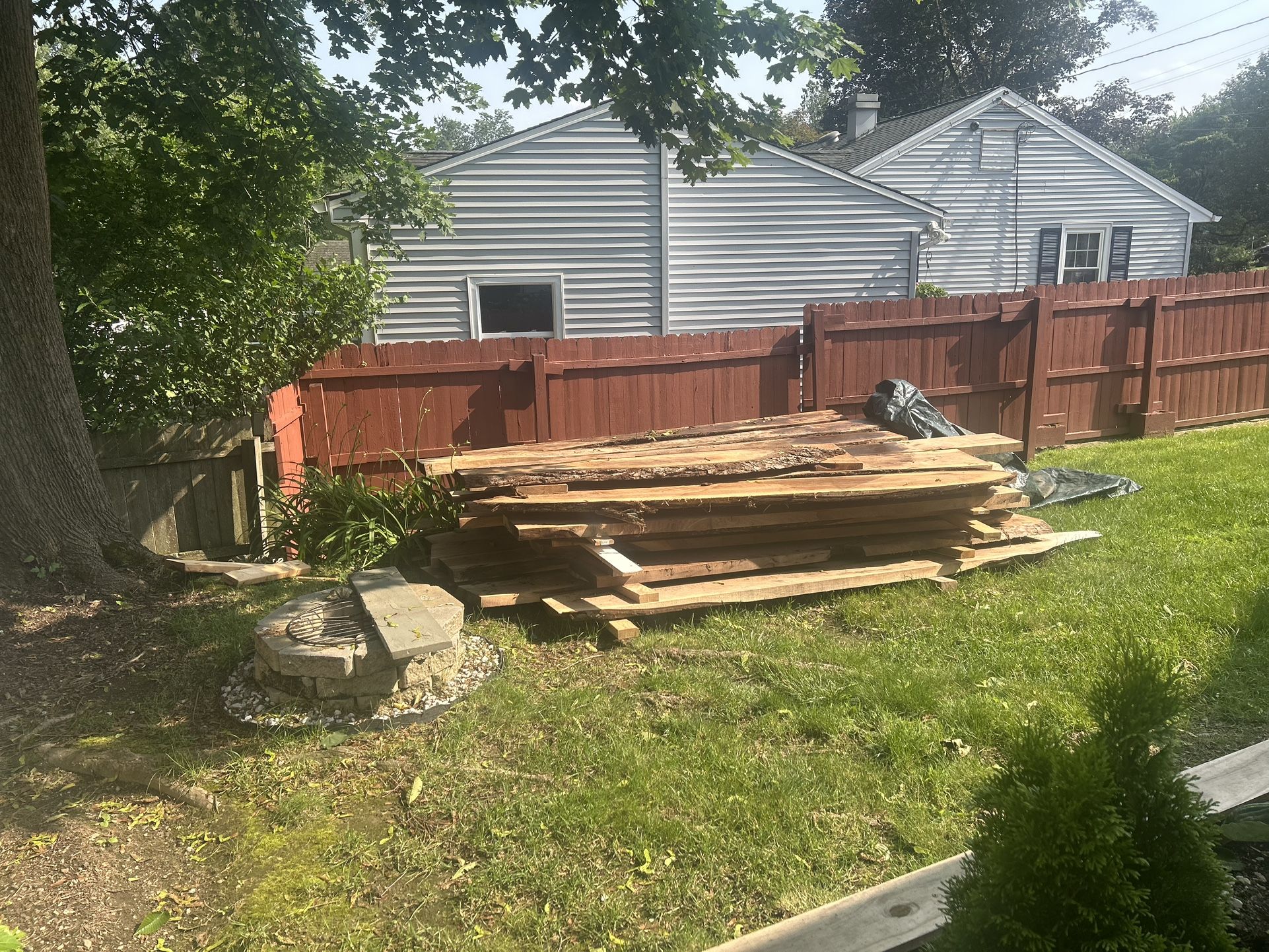Black Walnut Slabs