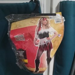 Pirate Wench Halloween Costume