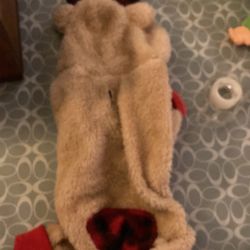 Reindeer, dog outfit