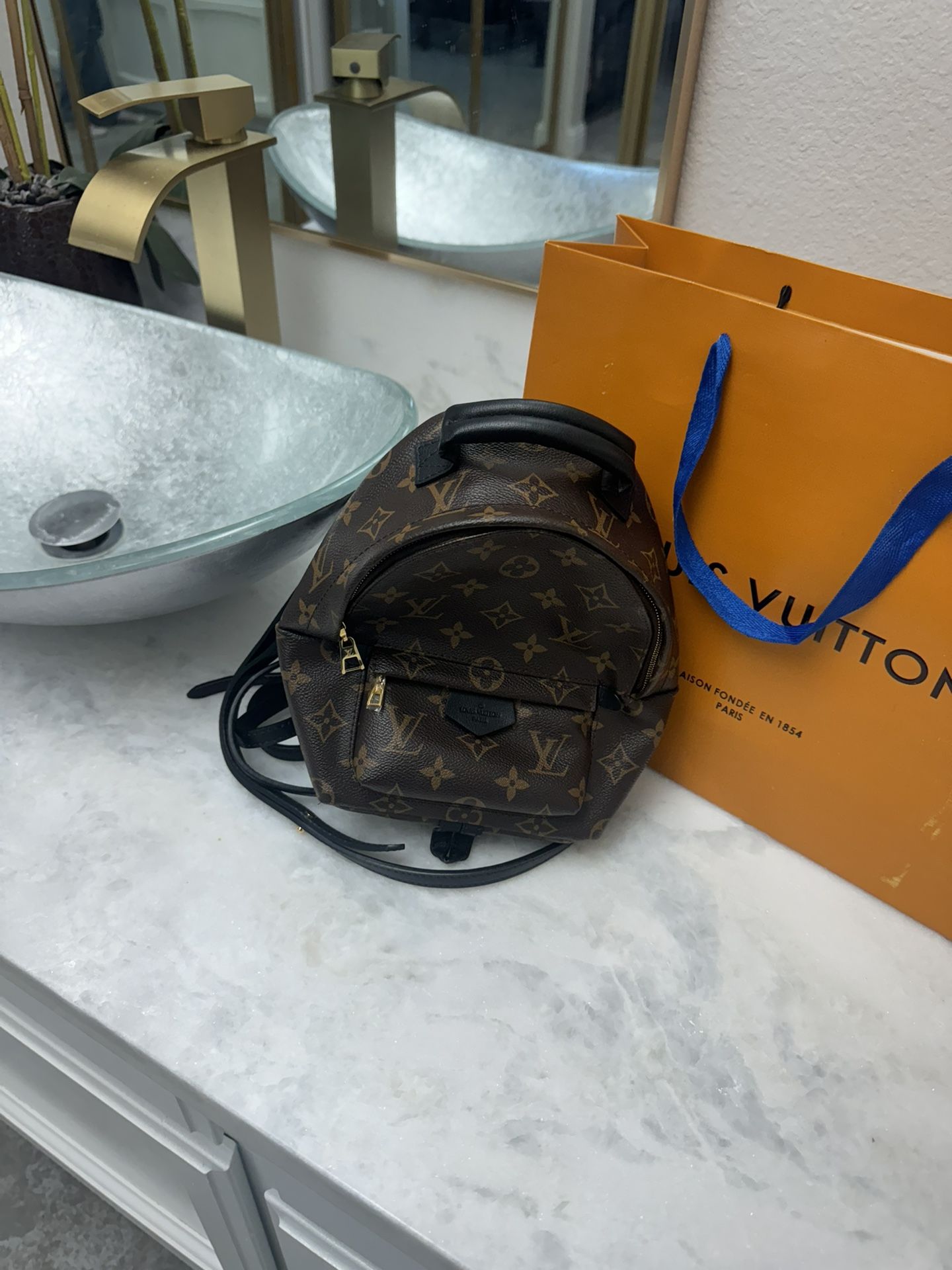 Lv Louis Vuitton Palm Spring Women Backpack 