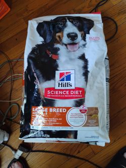 Hill's Science Diet Adult Large Breed Lamb Meal & Brown Rice Recipe Dry Dog Food, 33 lbs.
