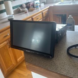 Sony AX 8000
