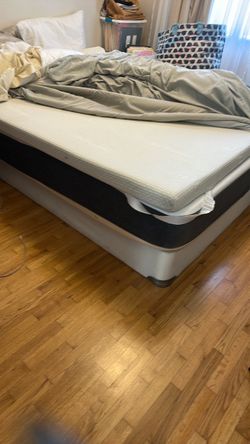 Free Queen Bed -moving and have another