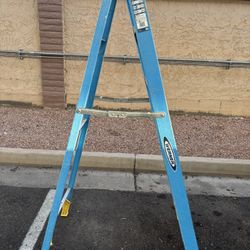 6 Ft. Ladder