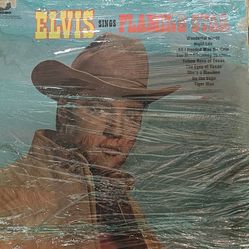 Elvis -Flamingo Star Record 