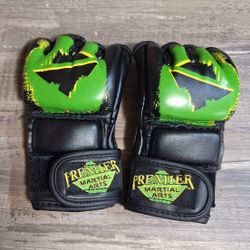 Martial Art Gloves