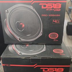 Pair Of DS18 pro-x694BM 