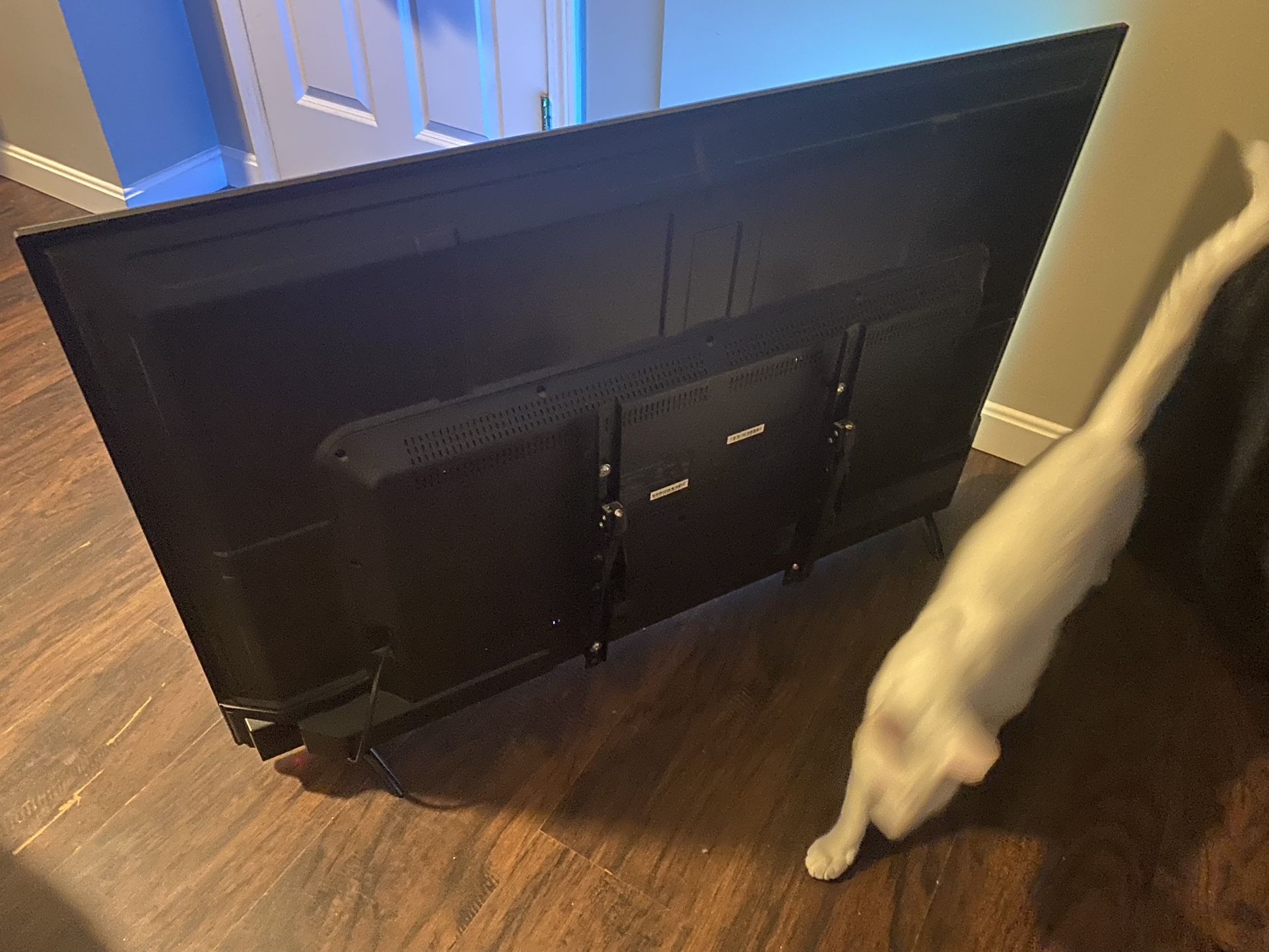 Roku Tv 50 Inch