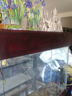 Fish tank and the stand and the top and more