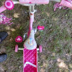 Toddler Tricycle 