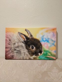 Canvas Print / Rabbit