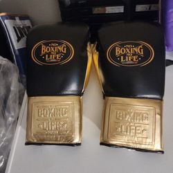 BOXING GEAR 