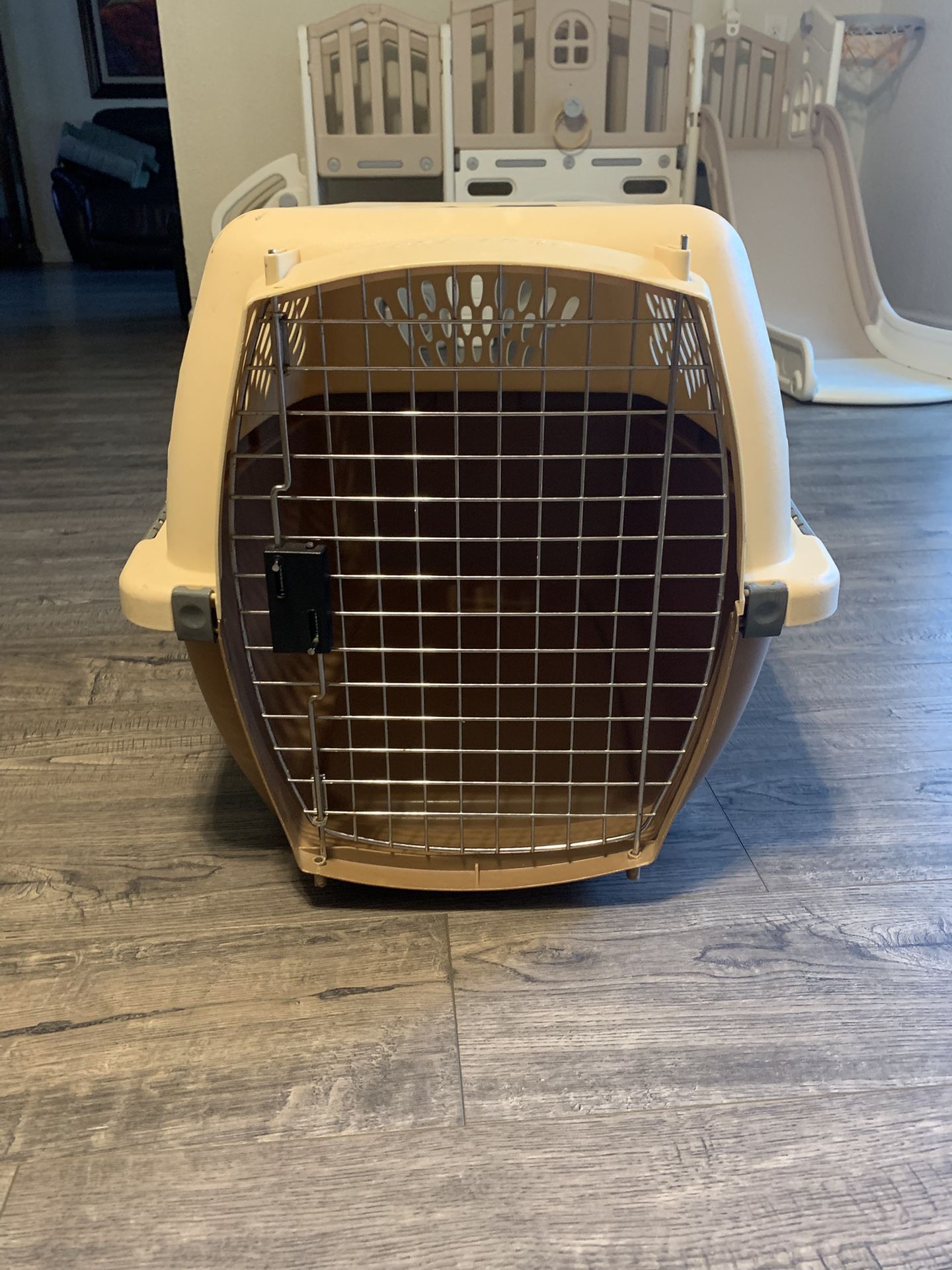 Kennel