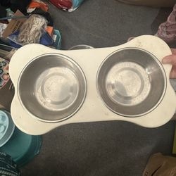 Pet Bowls