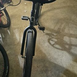 Beach Cruiser 