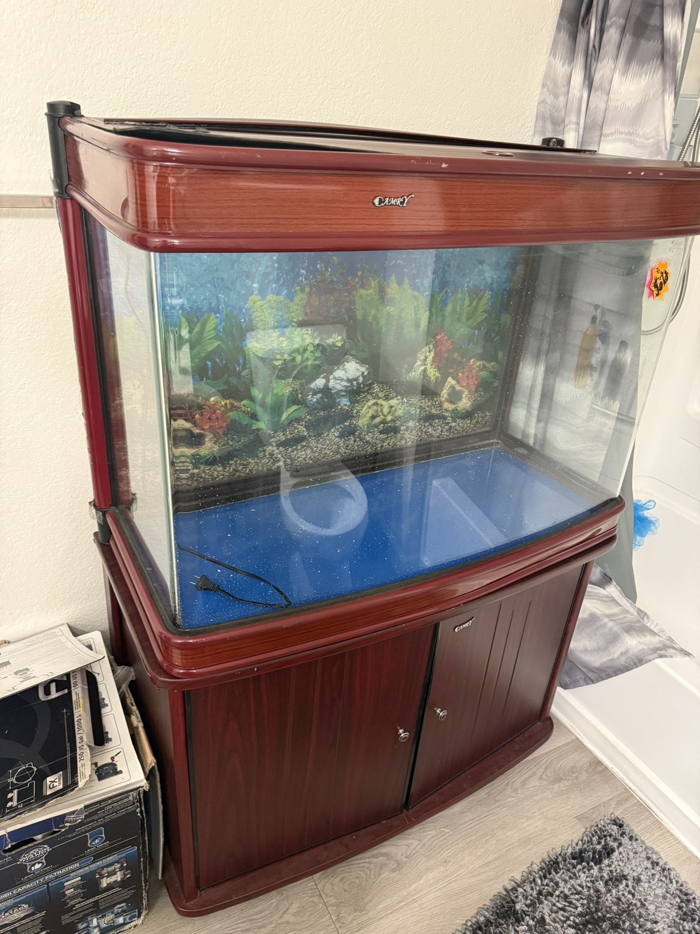 Fish Tank 