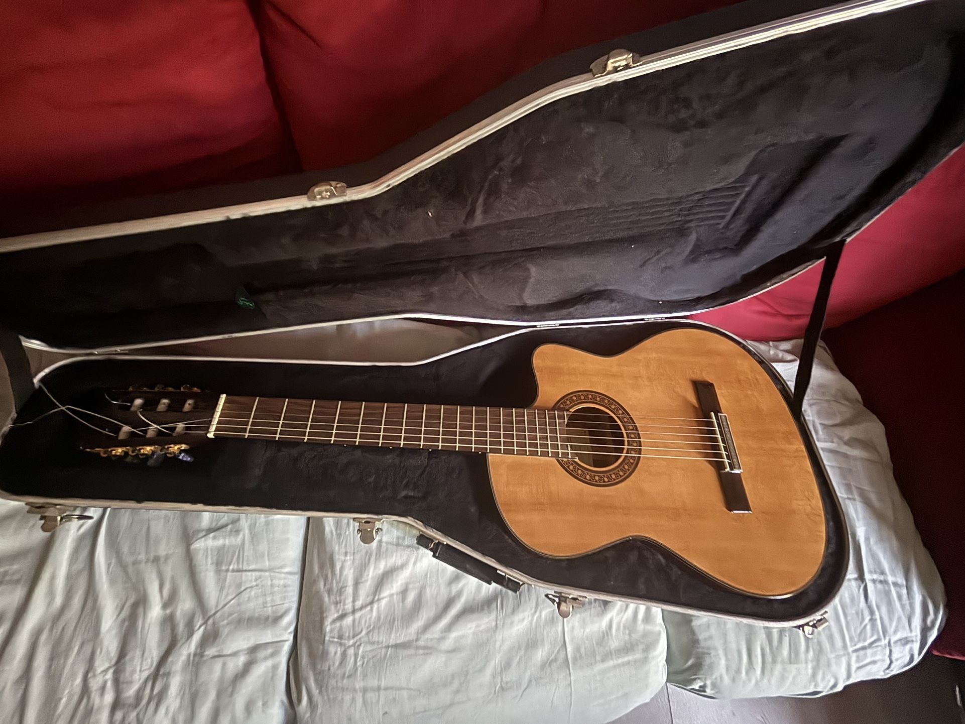 Ibanez Guitar