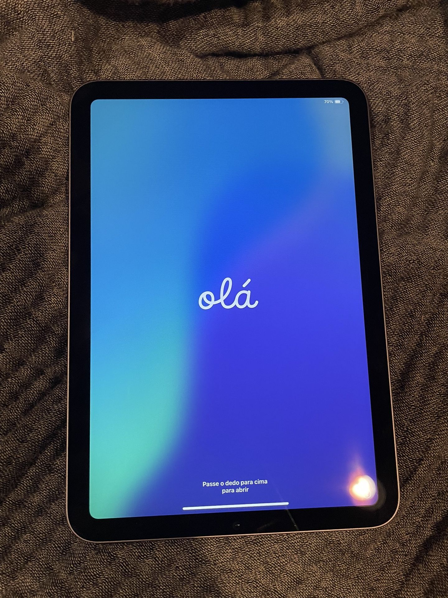 iPad Mini