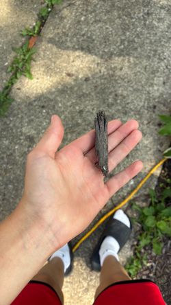 Random wood chip I found
