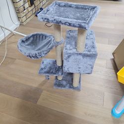 Cat Toy 