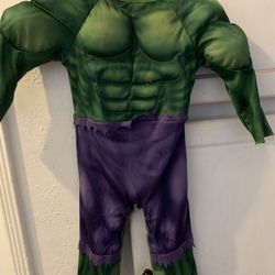 Halloween Costume The Hulk