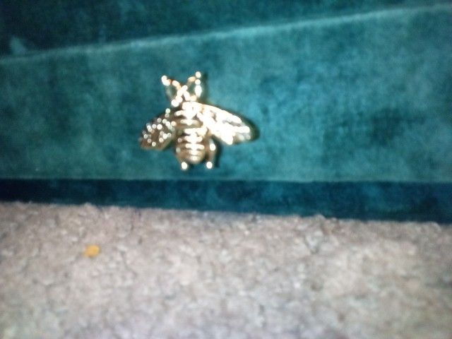 Watch/Jewelry Box