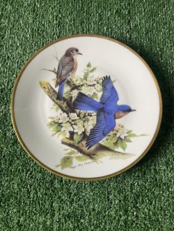 The Songbirds of Roger Tory Peterson ~ Bluebirds~ Porcelain Collector Plate 1981