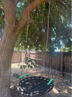 Saucer swing