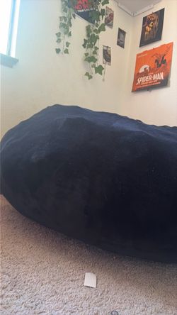 Big Beanbag