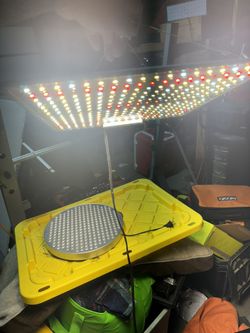 LED Grow Light Used