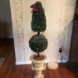 Potted Topiary   