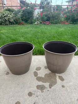 2 Plastic Planters