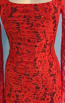Lace Dress Perfect Fit