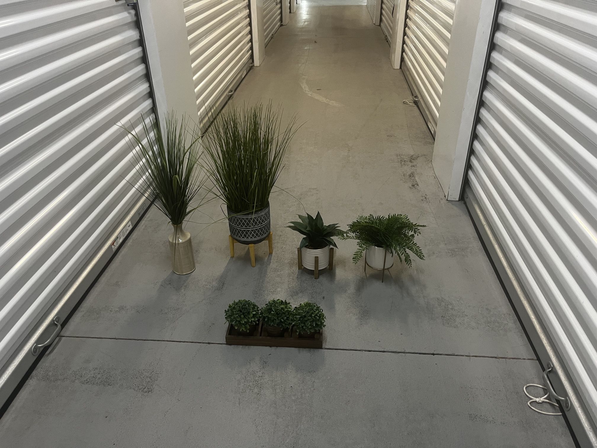 $5-$15 Multiple Fake Plants/Different Prices