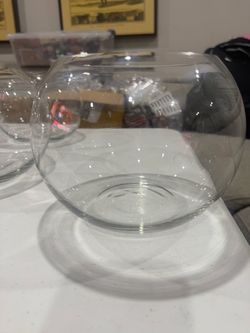 Fish bowl