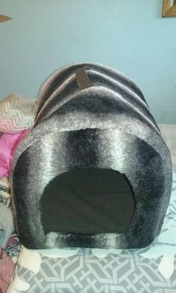 Cat bed