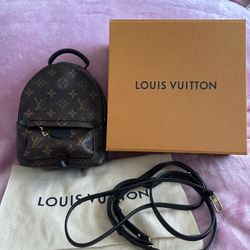 Louis Vuitton Palm Springs Mini Backpack