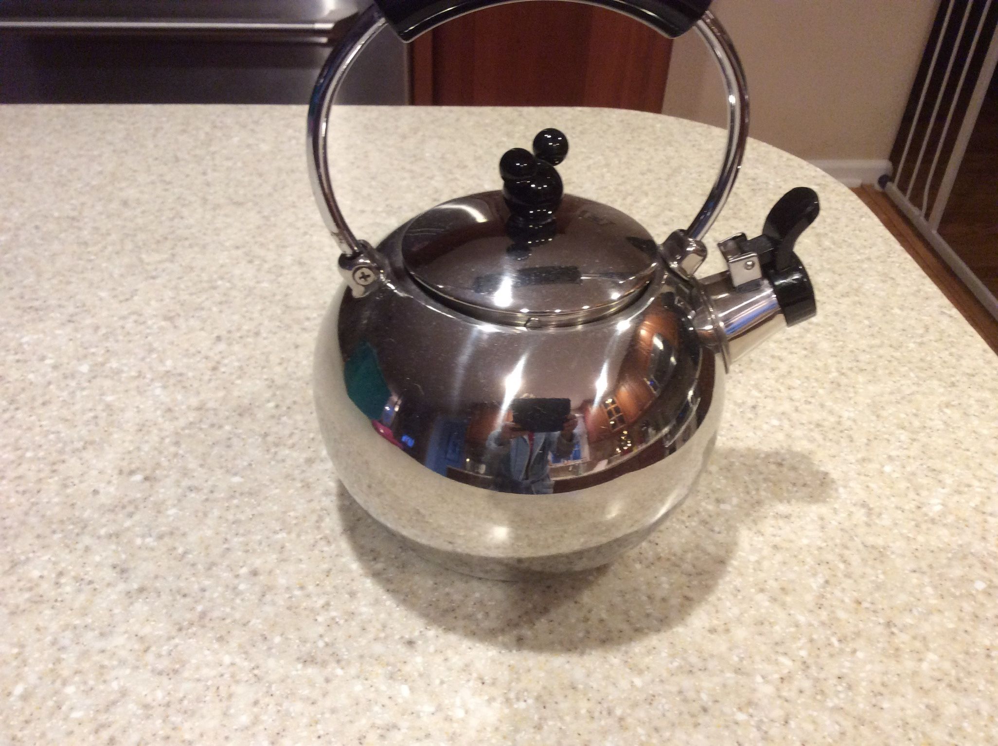 Mickey Mouse Stainless Steel Tea Kettle