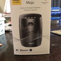 Google Assistant Speaker