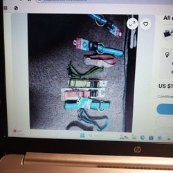 Dog Collars