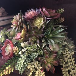 Extra Large Succulent Centerpiece 