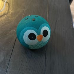 Echo Dot Owl