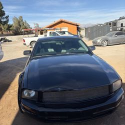 2007 Ford Mustang