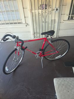Authentic SCHWINN TRAVELER